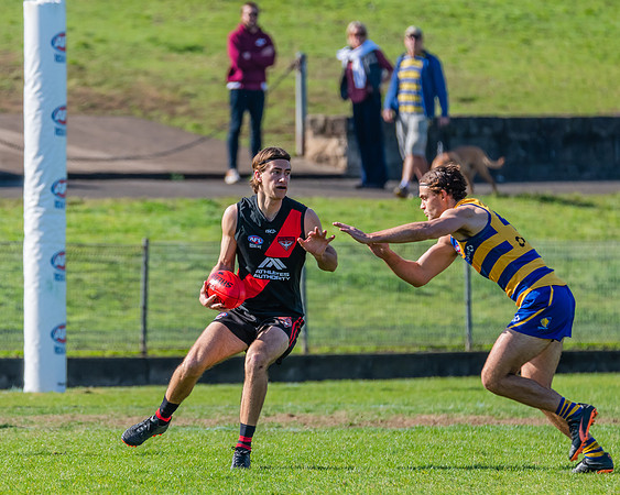 MPD Reserves Major Semi Final - Sydney University v North Shore