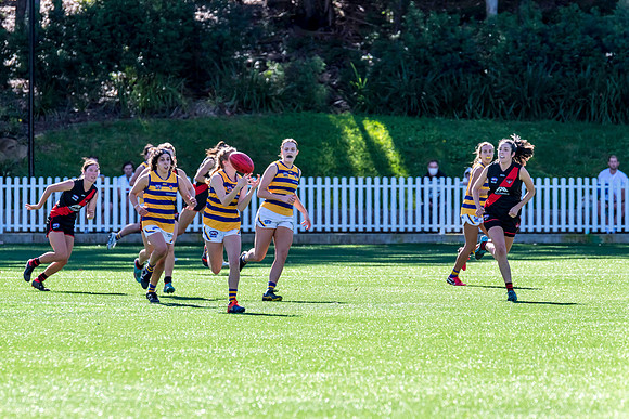 Rd 3 WPD - North Shore v Sydney Uni - 23 April 2022