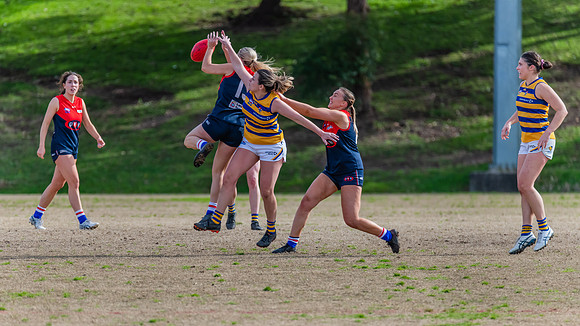 Rd 14 WPD - Pennant Hills v Sydney Uni - 16 July 2022