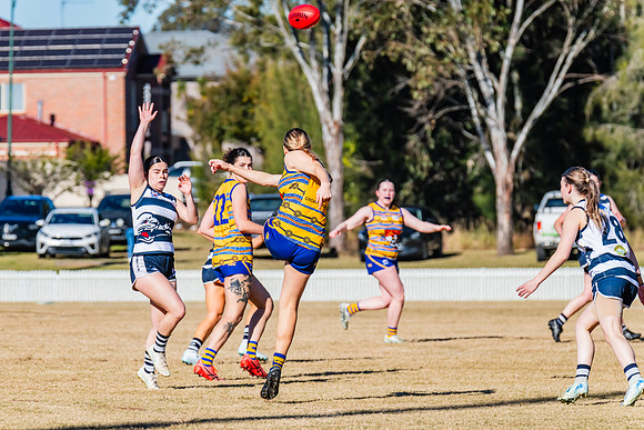 Rd 10 WD1 - Camden v Sydney Uni - 21 June 2025