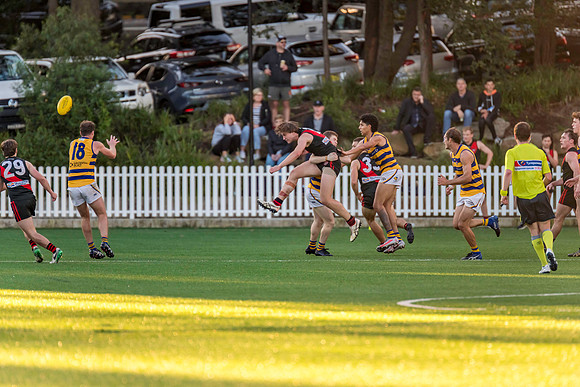 Rd 3 MPD - North Shore v Sydney Uni - 23 April 2022