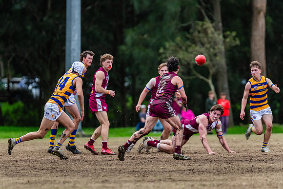 Rd 17 MPD - Manly Warringah v Sydney Uni - 16 August 2025