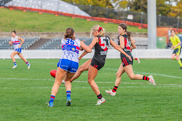 Rd 16 WPD - UNSW-ES v North Shore - 10 August 2024