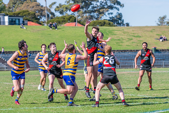 MPD Reserves Major Semi Final - Sydney University v North Shore