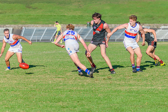 Rd 6 MPD - UNSW ES v North Shore - 14 May 2022