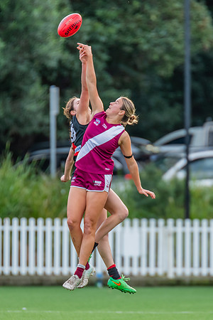 Rd 1 WPD - North Shore v Manly Warringah - 8 June 2024