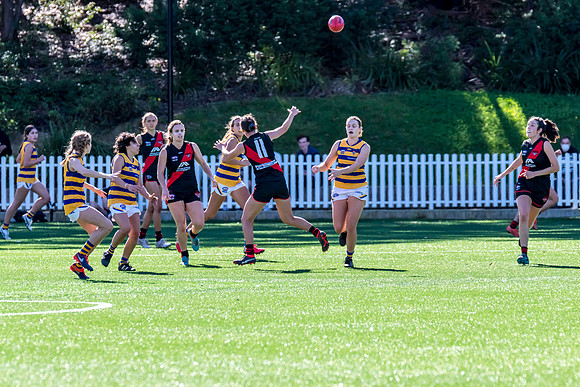 Rd 3 WPD - North Shore v Sydney Uni - 23 April 2022