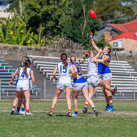 WPD Preliminary Final - East Coast v Sydney University - 21 Augu
