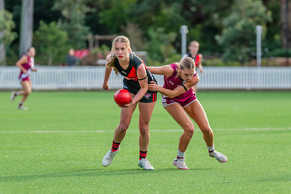 Rd 1 WPD - North Shore v Manly Warringah - 8 June 2024