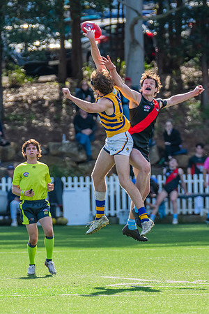Rd 15 MPD - North Shore v Sydney Uni - 3 August 2024