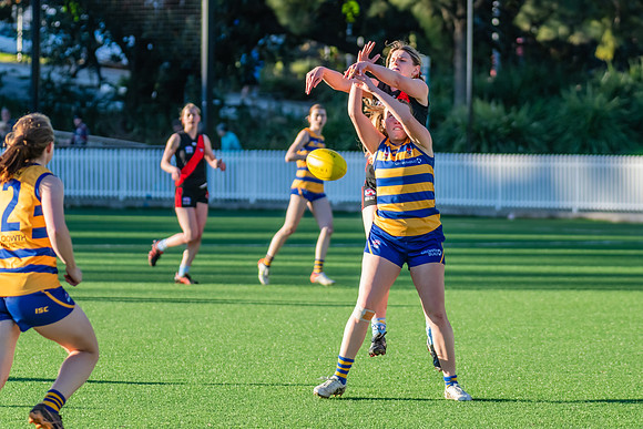 Rd 15 WPD - North Shore v Sydney Uni - 3 August 2024