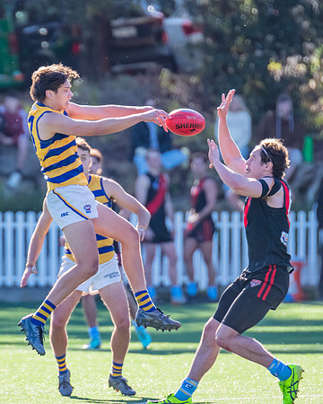 Rd 15 MPD - North Shore v Sydney Uni - 3 August 2024