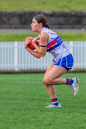 Rd 16 WPD - UNSW-ES v North Shore - 10 August 2024
