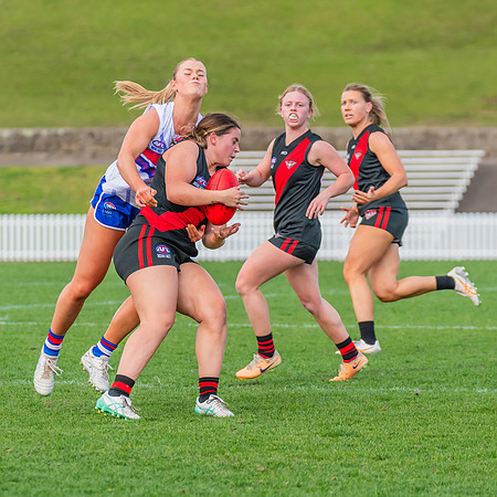 Rd 16 WPD - UNSW-ES v North Shore - 10 August 2024