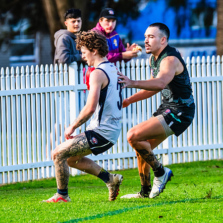 Rd 8 MPD - UTS v SWS - 31 May 2025