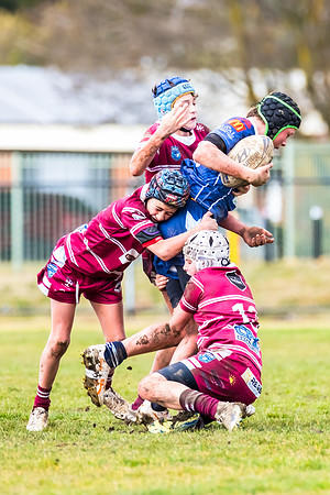 Rd 11 Blayney U13s v Bloomfield Tigers U13s - 2 August 2025