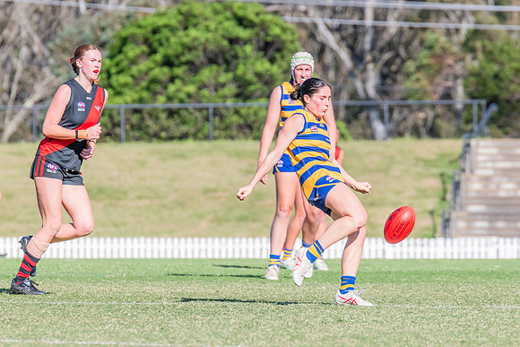 WPD Elimination Final - North Shore v Sydney Uni - 1 September 2