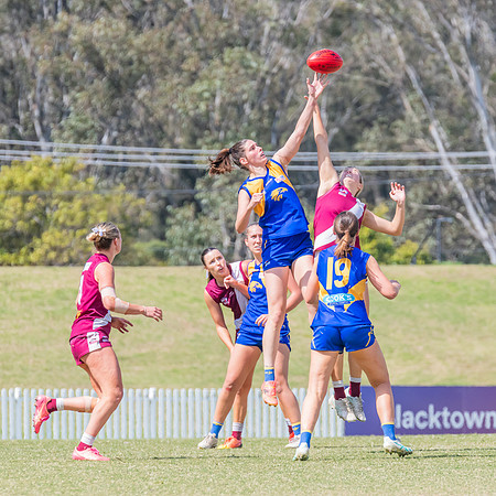 WPD Qualifying Final 2 - East Coast v Manly Warringah - 7 Septem