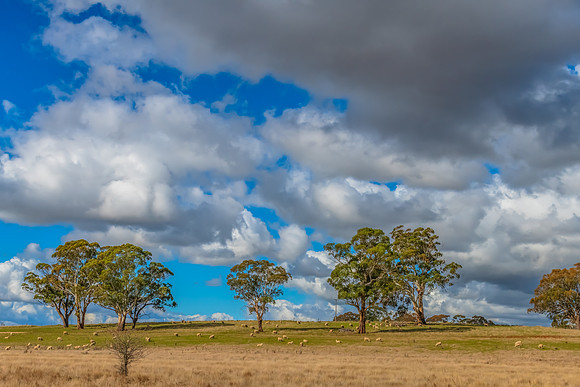 Clouds and a Winter sky over rural land with sheep