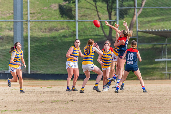 Rd 14 WPD - Pennant Hills v Sydney Uni - 16 July 2022