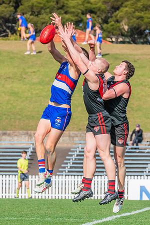 Rd 16 Men's Div 1 - UNSW-ES v North Shore - 10 August 2024
