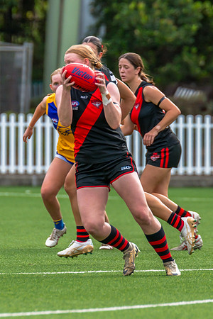 Rd 4 WPD - North Shore v East Coast - 26 April 2025