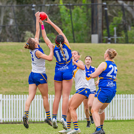 WPD Semi Final - Parramatta v Sydney Uni - 8 September 2024