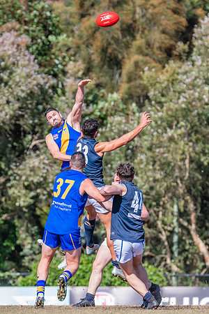 Black Diamond Plate Men's Nelson Bay v Newcastle City - 17 Septe