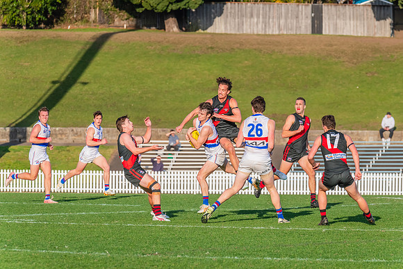 Rd 16 MPD - UNSW-ES v North Shore - 10 August 2024