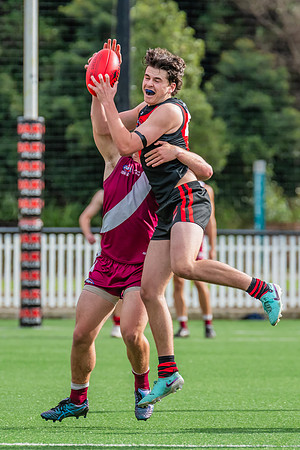 Rd 1 MPD - North Shore v Manly Warringah - 8 June 2024