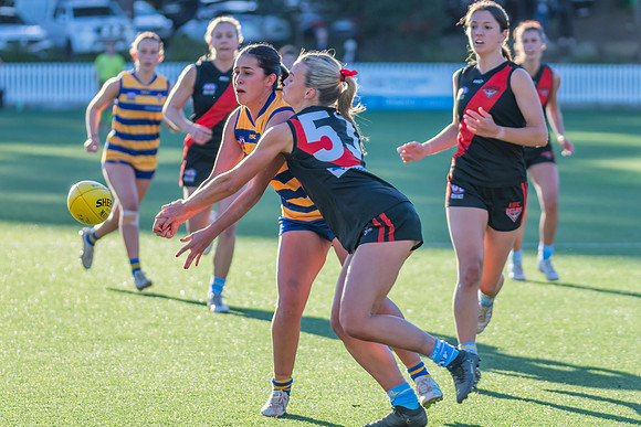 Rd 15 WPD - North Shore v Sydney Uni - 3 August 2024