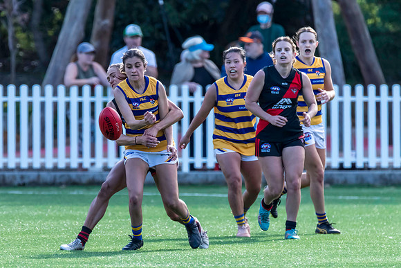 Rd 3 WPD - North Shore v Sydney Uni - 23 April 2022