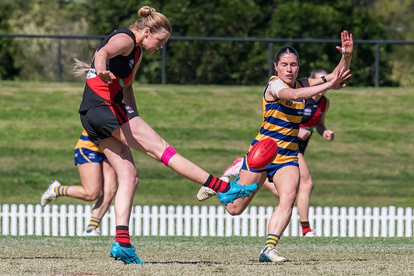 WPD QF - Sydney Uni v North Shore - 30 August 2025