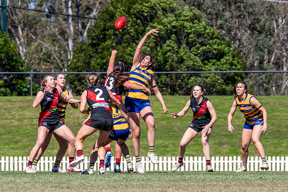 WPD QF - Sydney Uni v North Shore - 30 August 2025