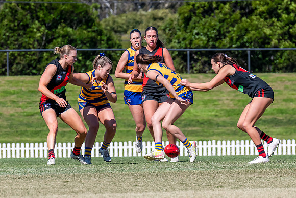 WPD QF - Sydney Uni v North Shore - 30 August 2025
