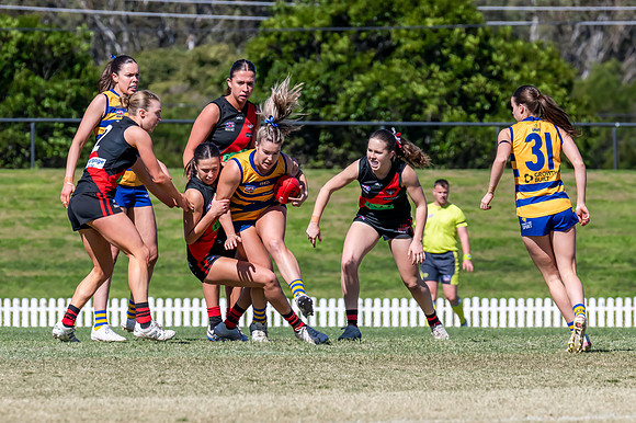 WPD QF - Sydney Uni v North Shore - 30 August 2025