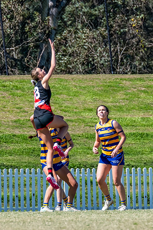 WPD QF - Sydney Uni v North Shore - 30 August 2025