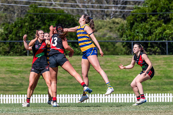 WPD QF - Sydney Uni v North Shore - 30 August 2025