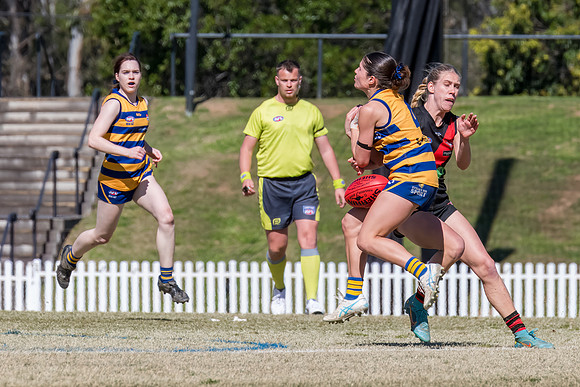 WPD QF - Sydney Uni v North Shore - 30 August 2025