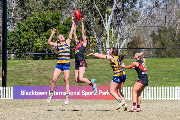 WPD QF - Sydney Uni v North Shore - 30 August 2025
