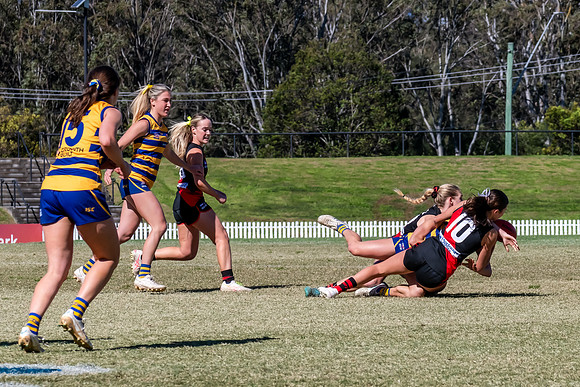 WPD QF - Sydney Uni v North Shore - 30 August 2025