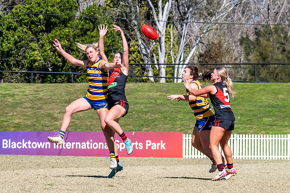WPD QF - Sydney Uni v North Shore - 30 August 2025
