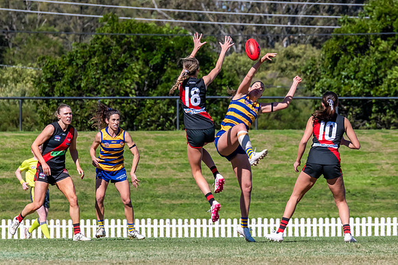 WPD QF - Sydney Uni v North Shore - 30 August 2025