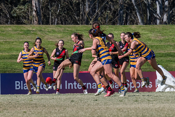 WPD QF - Sydney Uni v North Shore - 30 August 2025