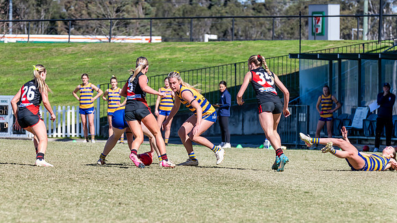 WPD QF - Sydney Uni v North Shore - 30 August 2025