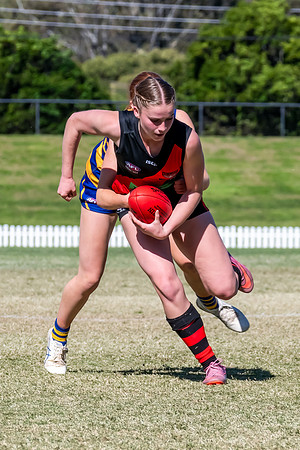 WPD QF - Sydney Uni v North Shore - 30 August 2025
