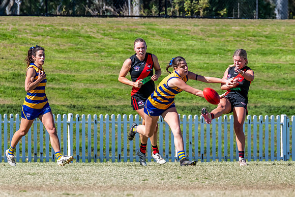 WPD QF - Sydney Uni v North Shore - 30 August 2025