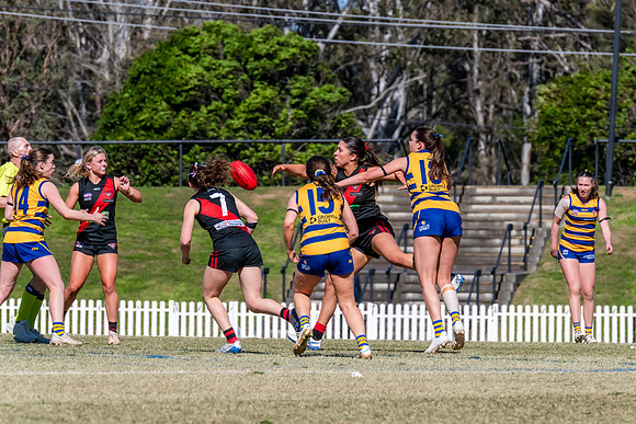 WPD QF - Sydney Uni v North Shore - 30 August 2025