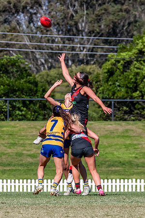 WPD QF - Sydney Uni v North Shore - 30 August 2025