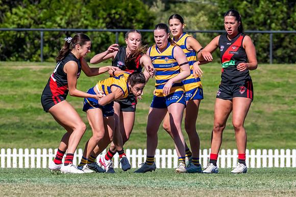 WPD QF - Sydney Uni v North Shore - 30 August 2025